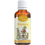 Serafin Brusinka tinktura z pupenů rostlin 50 ml – Hledejceny.cz