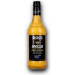 Bols Advocaat 15% 0,7 l (holá láhev) – Zboží Dáma