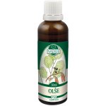 Naděje Ostružiník tinktura z pupenů 50 ml – Hledejceny.cz