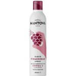 Mantova Olej ve spreji hroznový 200 ml – Hledejceny.cz