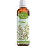 Serafin byliny Zlatobýl tinktura z bylin 50 ml – Hledejceny.cz