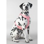 PAIKKA Reflexní postroj PINK – Sleviste.cz