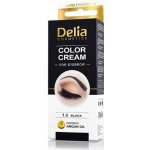 Delia Cosmetics Cameleo krémová profesionální barva na obočí 1.0 Black 15 ml – Zboží Dáma