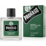 Proraso Eukalyptus balzám na vousy 100 ml – Zboží Dáma