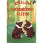 Kouzelná večerníčková flétna + CD – Zboží Dáma