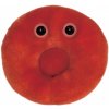 Červená krvinka 