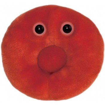 Červená krvinka 