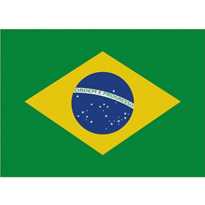 Printwear Vlajka Brazílie Flagbr Brazil 90 x 150 cm – Hledejceny.cz
