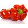 Osivo a semínko Rajčatová paprika Szuszanna - Capsicum annuum - semena - 7 ks