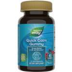 Nature's Way Quick Calm Gummy bobule 60 gummies – Hledejceny.cz