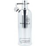 Montale Soleil de Capri parfémovaná voda unisex 100 ml – Hledejceny.cz