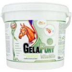Orling Gelapony Vitamin 1,8 kg – Hledejceny.cz