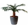 Květina Umělá palma Cycas - přírodní kmen, 80cm