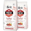 Granule pro psy Brit Fresh Beef with Pumpkin Puppy Large 2 x 12 kg