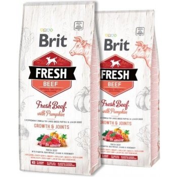 Brit Fresh Beef with Pumpkin Puppy Large 2 x 12 kg