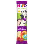 HiPP BIO Oplatka Banán-Jablko-Maliny 23 g – Zboží Dáma