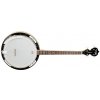 Banjo Tanglewood TWB18-M4