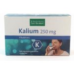 Sanct Bernhard Draslík Vitaldrink 30 sáčků 2,6 g – Hledejceny.cz