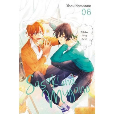 Sasaki and Miyano, Vol. 6 – Zboží Dáma