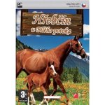 Hřebčín U Bílého potoka – Zboží Dáma