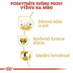 Royal Canin Zlatý retrívr Adult 12 kg – Zboží Mobilmania