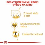 Royal Canin Zlatý retrívr Adult 12 kg – Hledejceny.cz