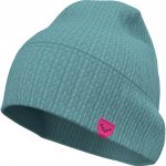 Dynafit Čepice Alpha Direct Beanie modrá – Hledejceny.cz