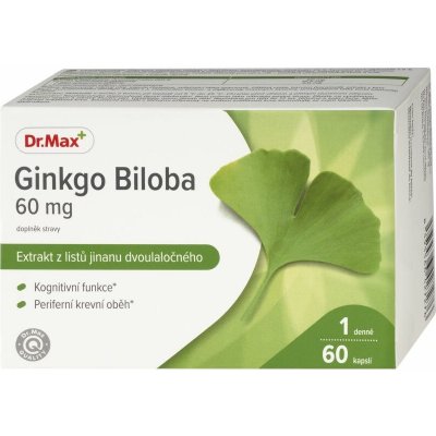 Dr.Max Ginkgo biloba 60 mg 60 kapslí – Hledejceny.cz