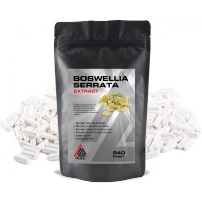 Boswellia Serrata Extract VALKNUT 240 kapslí