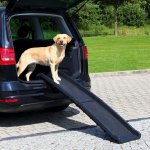 Trixie Pet ramp protiskluzová rampa max. zátěž 90 kg 40 x 156 cm – Sleviste.cz