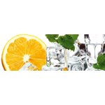 Dimex KI180-023 Samolepící fototapeta do kuchyně Lemon and Ice rozměry 180 x 60 cm – Zboží Mobilmania