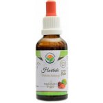 Salvia Paradise Haritaki AF tinktura 50 ml – Sleviste.cz