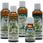 Naděje Kúra K09 imunita 175 ml – Hledejceny.cz