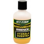 Jet Fish Exkluzivní Esence Vyzrálá Švestka 100 ml – Hledejceny.cz