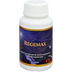 Starlife Regemax Star 60 kapslí – Hledejceny.cz