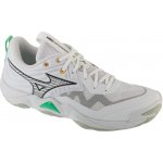 Mizuno Wave Momentum Elite V1GA251221 – Zboží Dáma