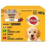 Pedigree Junior kuřecí 12 x 100 g – Hledejceny.cz