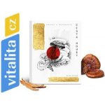 Cesta houby: Návrat k rovnováze - Milan Schirlo (2025, pevná) – Hledejceny.cz