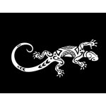 Samolepka (na auto, notebook) ještěrka (bílá) 8 – Zboží Živě