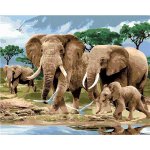 zuty Malování podle čísel Sloni na savaně Howard Robinson 80 x 100 cm bez rámu a bez vypnutí plátna