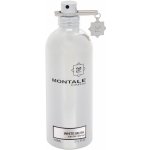 Montale Paris Montale Paris White Musk parfémovaná voda unisex 100 ml – Hledejceny.cz
