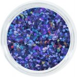 Aglia Extreme Purple Hologram glitter 2 g – Zboží Mobilmania