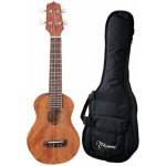 Takamine GUS1 – Zboží Mobilmania