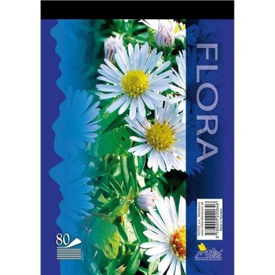 Karton P+P Poznámkový blok A5 80 listů čistý – Sleviste.cz