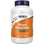 Now Foods Foods Plant Enzymes rostlinné enzymy 240 kapslí – Hledejceny.cz