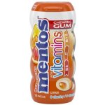 Mentos Pure Fresh Gum mint 30 g – Zbozi.Blesk.cz