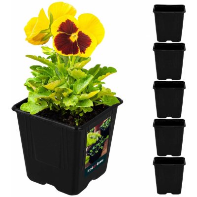 Květináč plastový 10x10x11 cm – Zboží Mobilmania