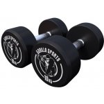 Gorilla Sports činky, gumové 2 x 10 kg – Zboží Mobilmania