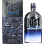 Roberto Cavalli Just Cavalli toaletní voda pánská 90 ml – Hledejceny.cz