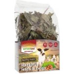 Nature LAND Pochoutka Botanical větvičky z lísky 50 g – Sleviste.cz